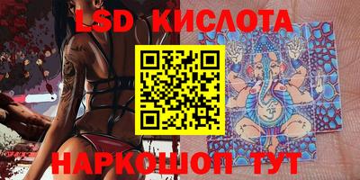 PSILOCYBIN Белорецк