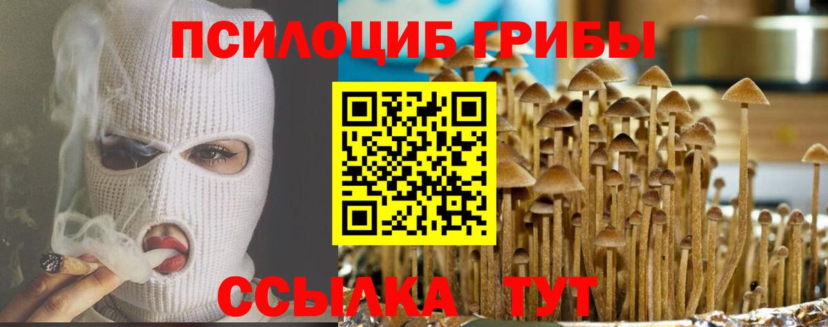 Галлюциногенные грибы прущие грибы  Вход с VPN  Галлюциногенные грибы прущие грибы  Десногорск 